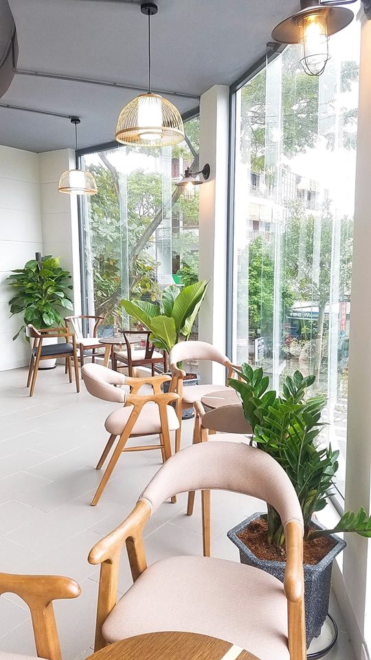 Sử dụng cây cảnh trong trang trí mang đến cảm giác trong lành, mát mẻ cho thiết kế quán cafe sang trọng, ấn tượng