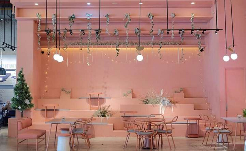Trang trí quán cafe lãng mạn với hoa khô và bạn ghế tông xuyệt tông với màu nền